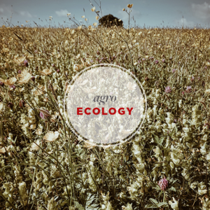 Agro Ecology
